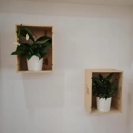 Luna De Noviembre Apartamento
